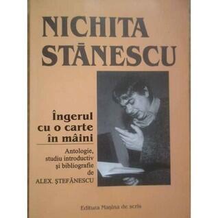 Ingerul cu o carte in maini. Antologie