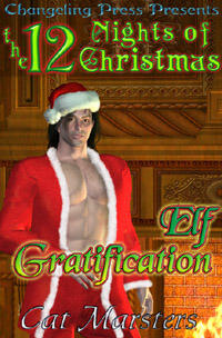 12 Nights Of Christmas
