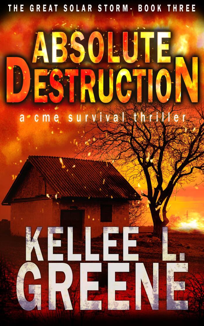 Absolute Destruction - A CME Survival Thriller