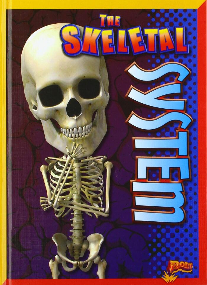 The Skeletal System