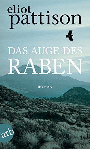 Das Auge des Raben: Roman