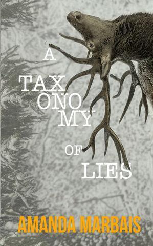 A Taxonomy of Lies