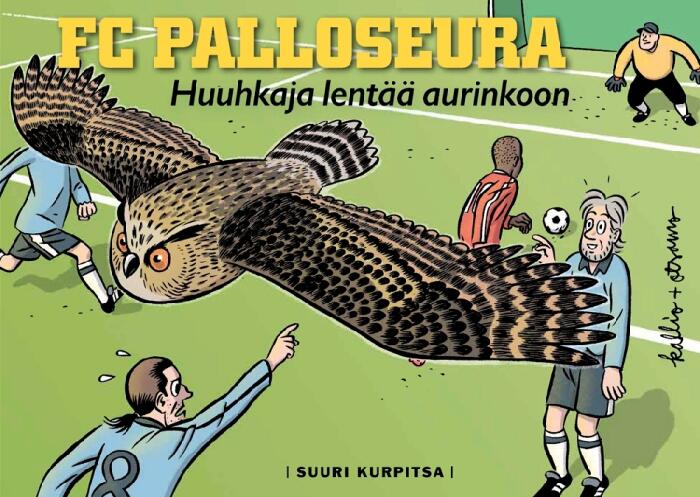 Huuhkaja lentää aurinkoon