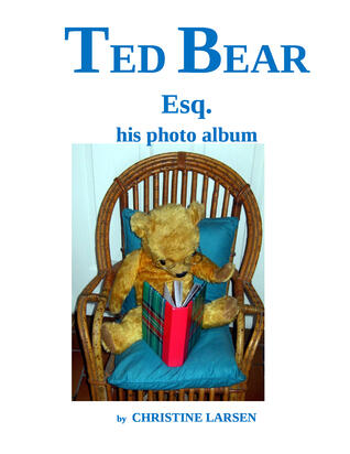 Ted Bear Esq. - his photo album