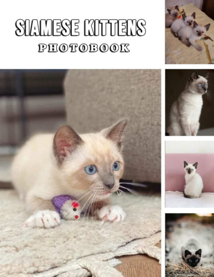 The Photo Of siamese kittens: A Great Gift With Compelling And Impressive Pictures Of siamese kittens To Relax And Relieve Stress For All Ages & Genders On Christmas, Birthday