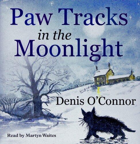 Paw Tracks In The Moonlight