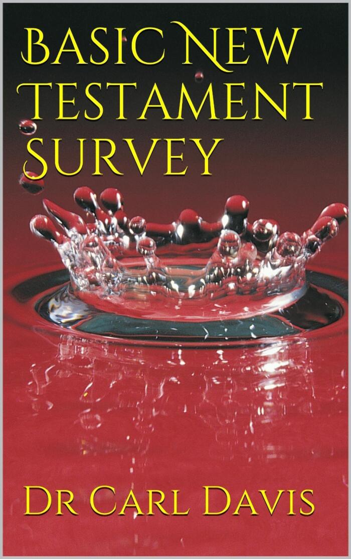 Basic New Testament Survey