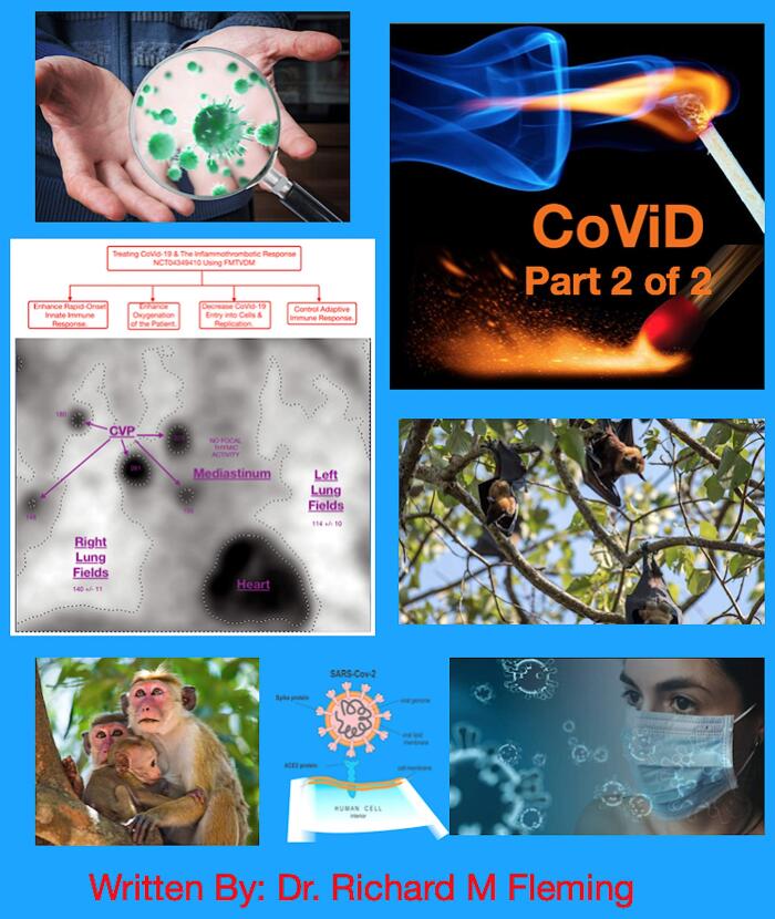 Unmasking CoViD - Part 2