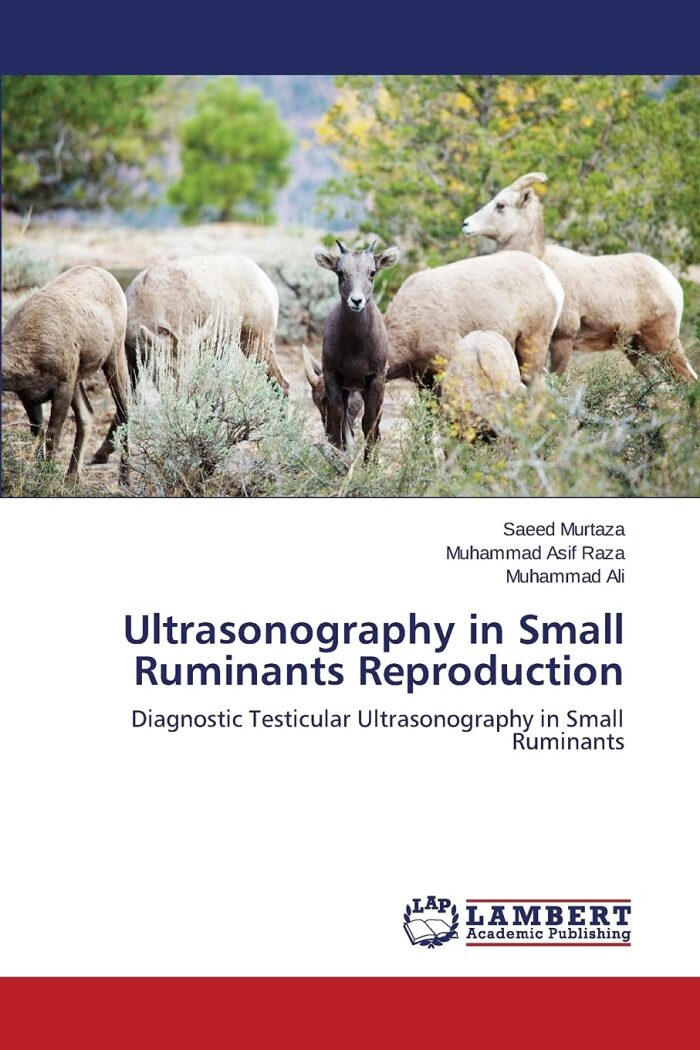 Ultrasonography in Small Ruminants Reproduction: Diagnostic Testicular Ultrasonography in Small Ruminants