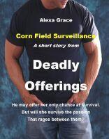 Corn Field Surveillance