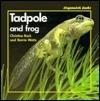 Tadpole and Frog
