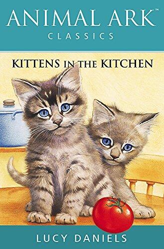 Kittens in the Kitchen