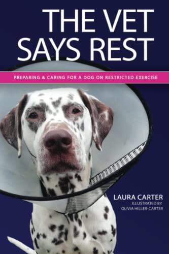 The Vet Says Rest: Preparing and caring for a dog on restricted exercise