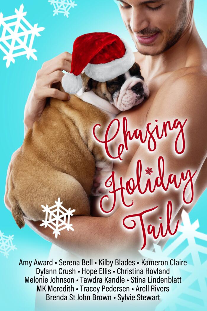 Chasing Holiday Tail: A Holiday Rom-Com Charity Anthology