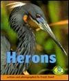 Herons