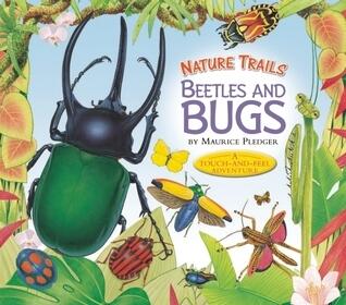 Beetles and Bugs