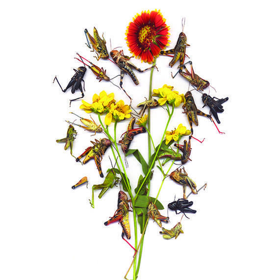 Your Impossible Voice #7: Spring 2015