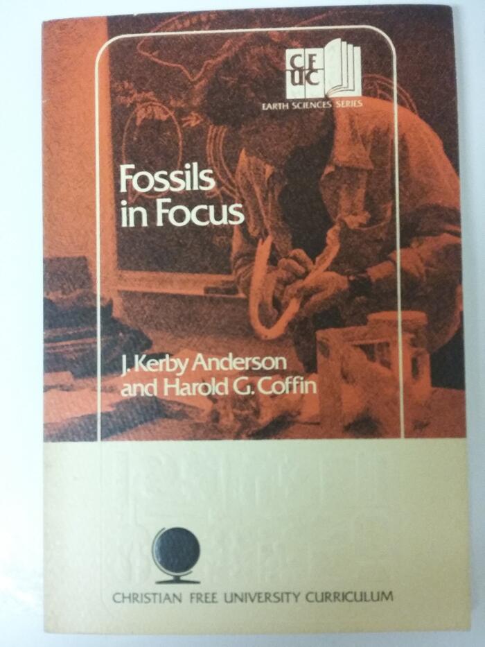 Fossils in focus