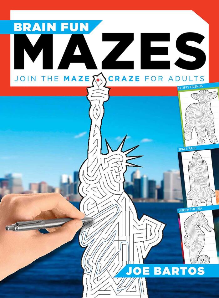 Brain Fun Mazes: Join the Maze Craze for Adults