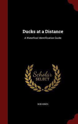 Ducks at a Distance: A Waterfowl Identification Guide