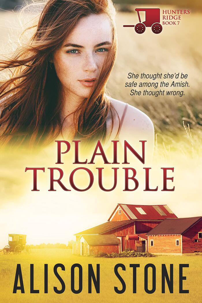 Plain Trouble