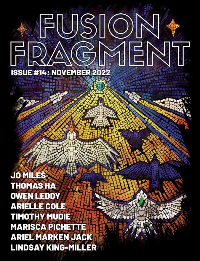 Fusion Fragment #14, November 2022