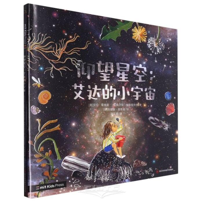 Looking up at the Starry Sky - Ada's Small Universe (Hardcover)