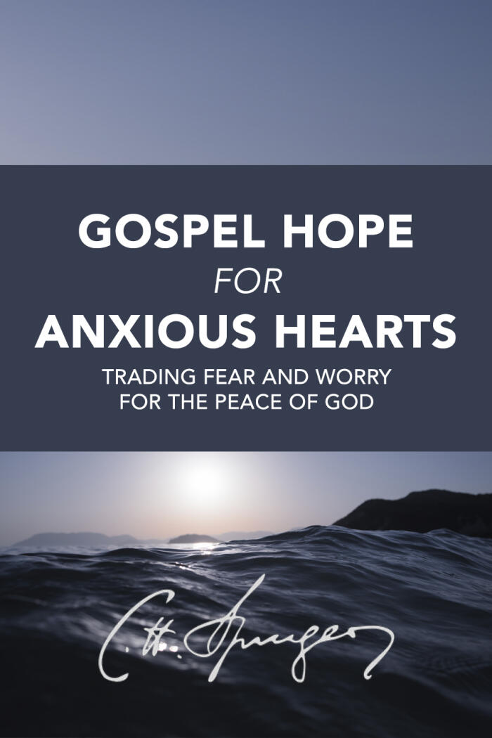 Rich Theology Made Accessible