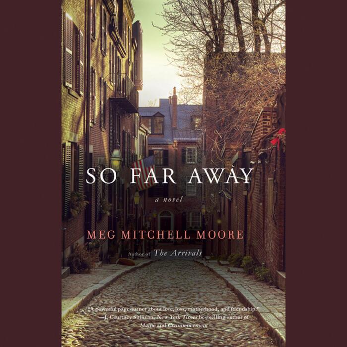 So Far Away: A Novel
