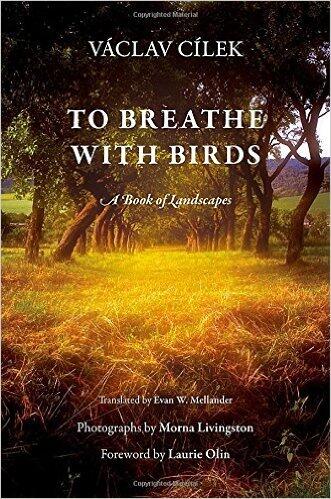 To Breathe with Birds: A Book of Landscapes