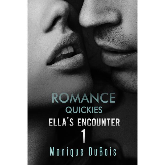 Romance Quickies: Ella's Encounter - 1
