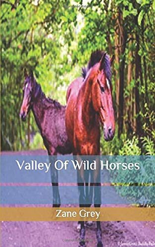 Valley Of Wild Horses