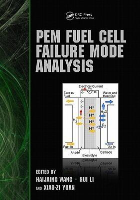 PEM Fuel Cell Failure Mode Analysis