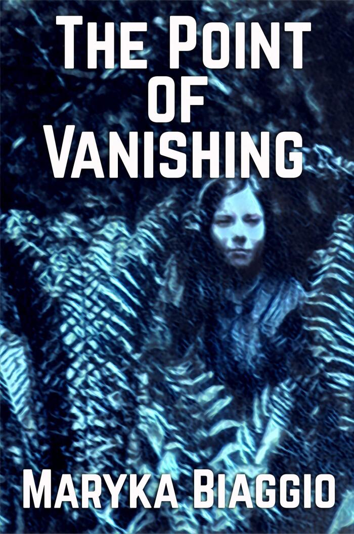 The Point of Vanishing: Based on the true story of author Barbara Follett and her mysterious disappearance