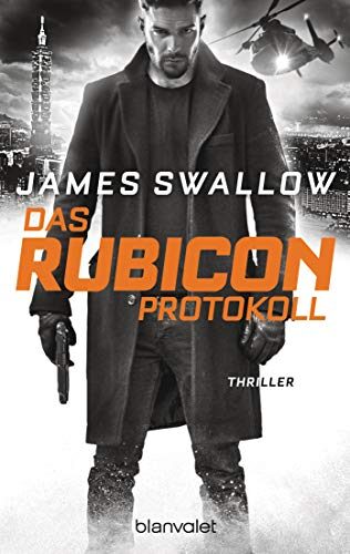 Das Rubicon-Protokoll: Thriller