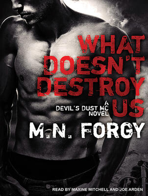 What Doesn't Destroy Us