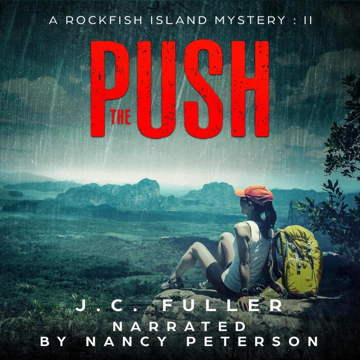 The Push: A Rockfish Island Mystery: Book II