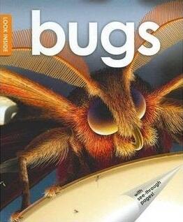 Look Inside Bugs