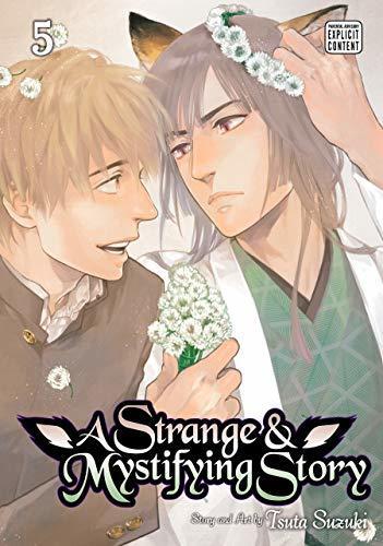 A Strange and Mystifying Story, Vol. 5