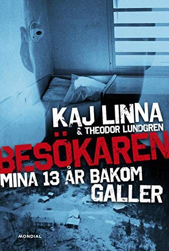 Besökaren: mina 13 år bakom galler