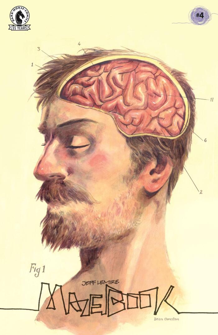 Mazebook #4 Cover B By Dean Ormston