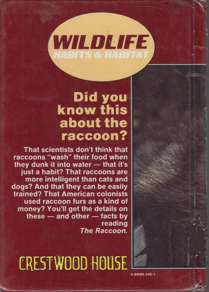 The Raccoon
