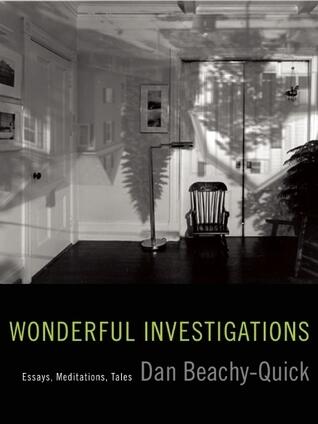 Wonderful Investigations: Essays, Meditations, Tales