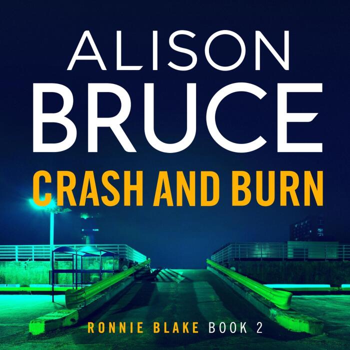 Crash and Burn: Ronnie Blake, Book 2