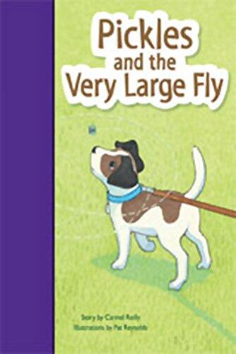 Pickles and the Very Large Fly