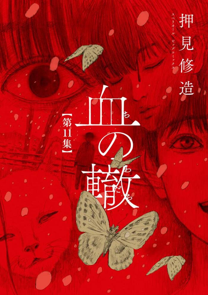 血の轍 11 [Chi no Wadachi 11]