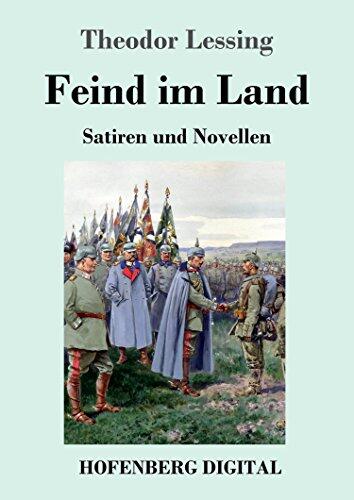 Feind im Land: Satiren und Novellen