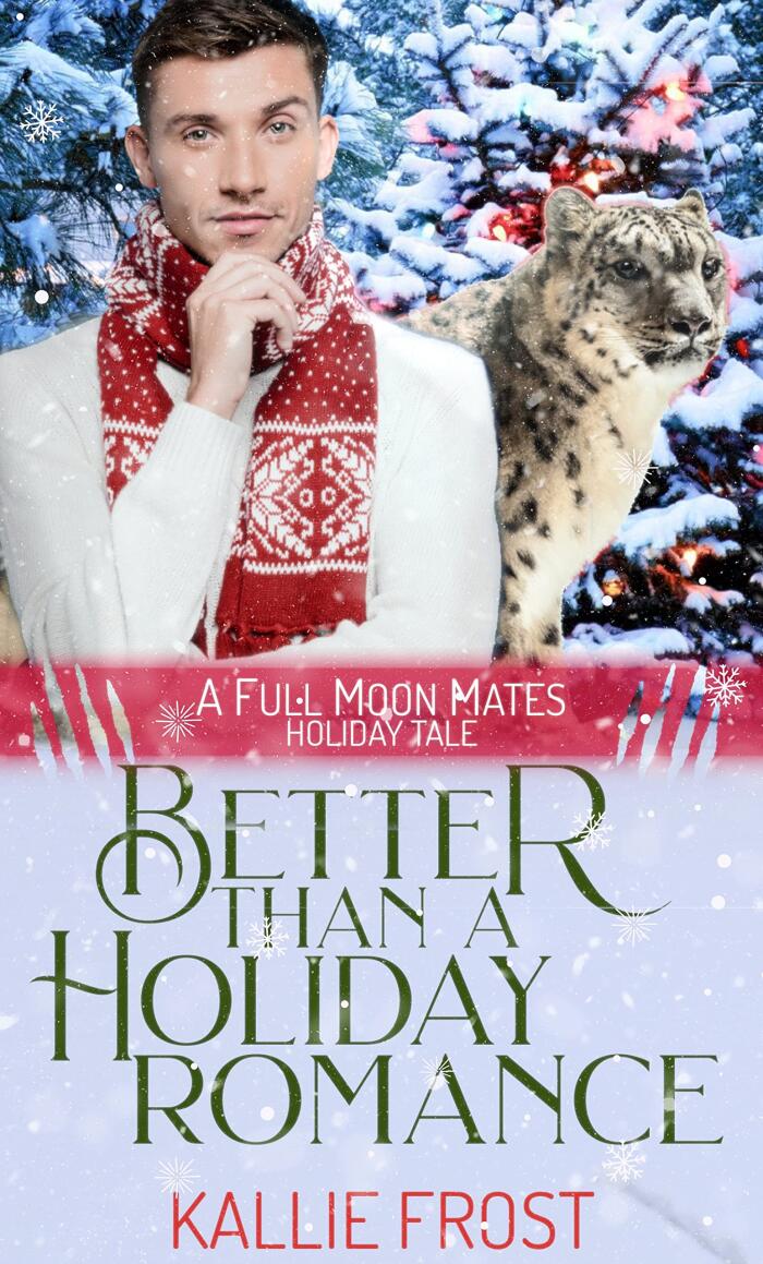 Better than a Holiday Romance
