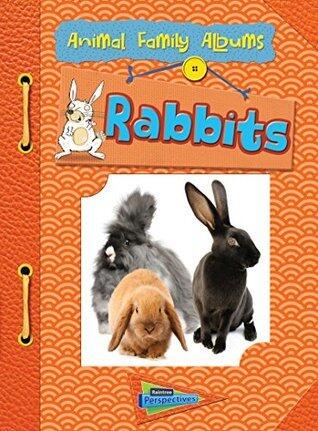 Rabbits