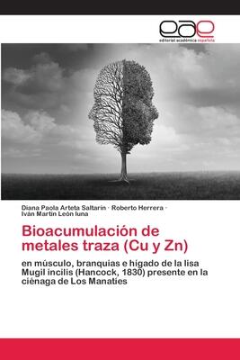 Bioacumulación de metales traza (Cu y Zn): en músculo, branquias e hígado de la lisa Mugil incilis (Hancock, 1830) presente en la ciénaga de Los Manatíes